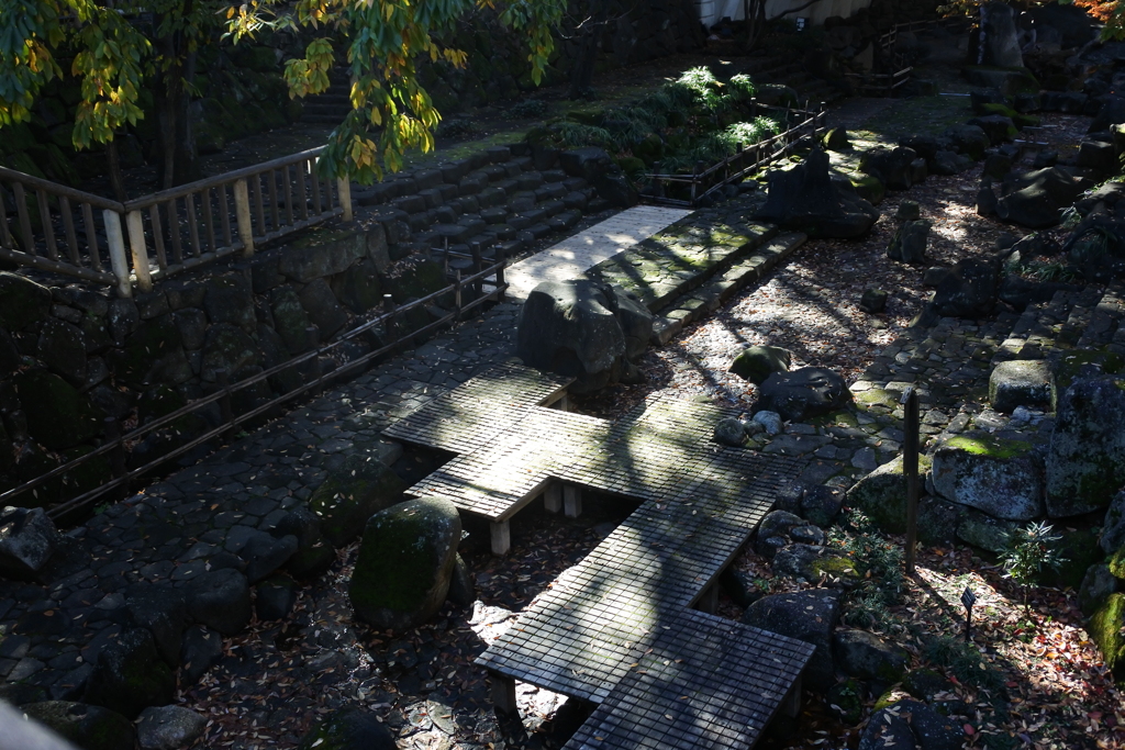 木漏れ日の親水公園