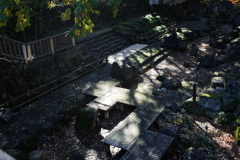 木漏れ日の親水公園