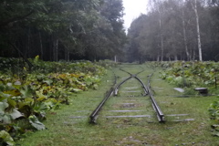 旧士幌線の線路