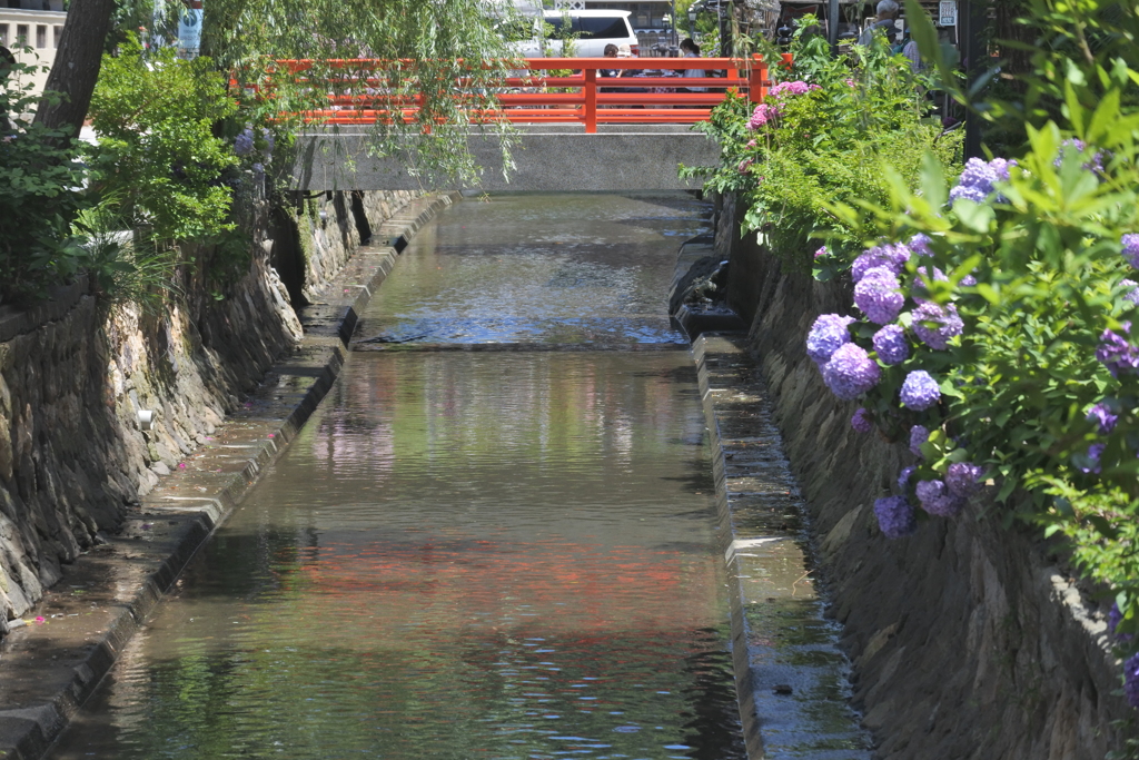 ペリーロードをご一緒に　川
