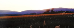 夕日に染まる
