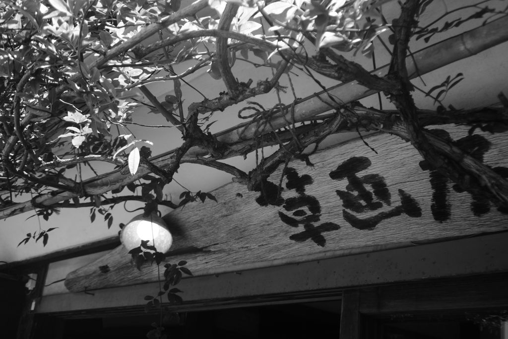 ペリーロードをご一緒に　看板