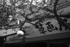 ペリーロードをご一緒に　看板