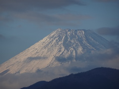 宿からの富士山