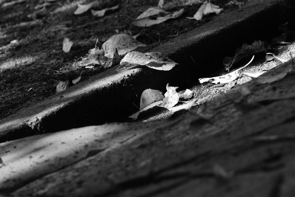 陽だまりの中には・・・