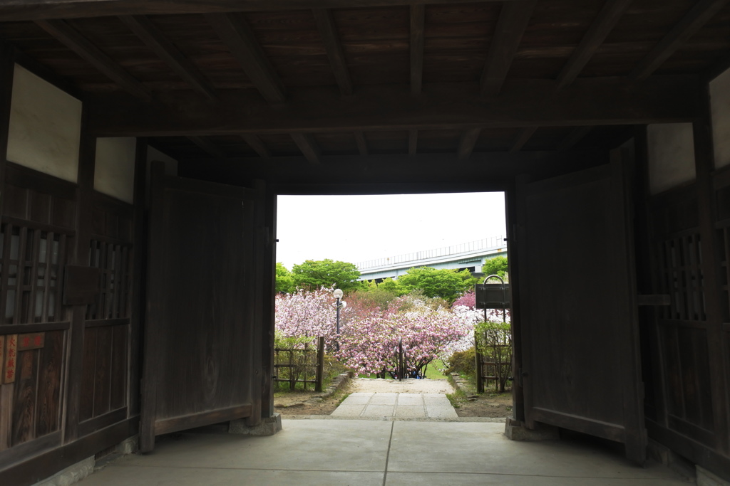 長屋門から望む