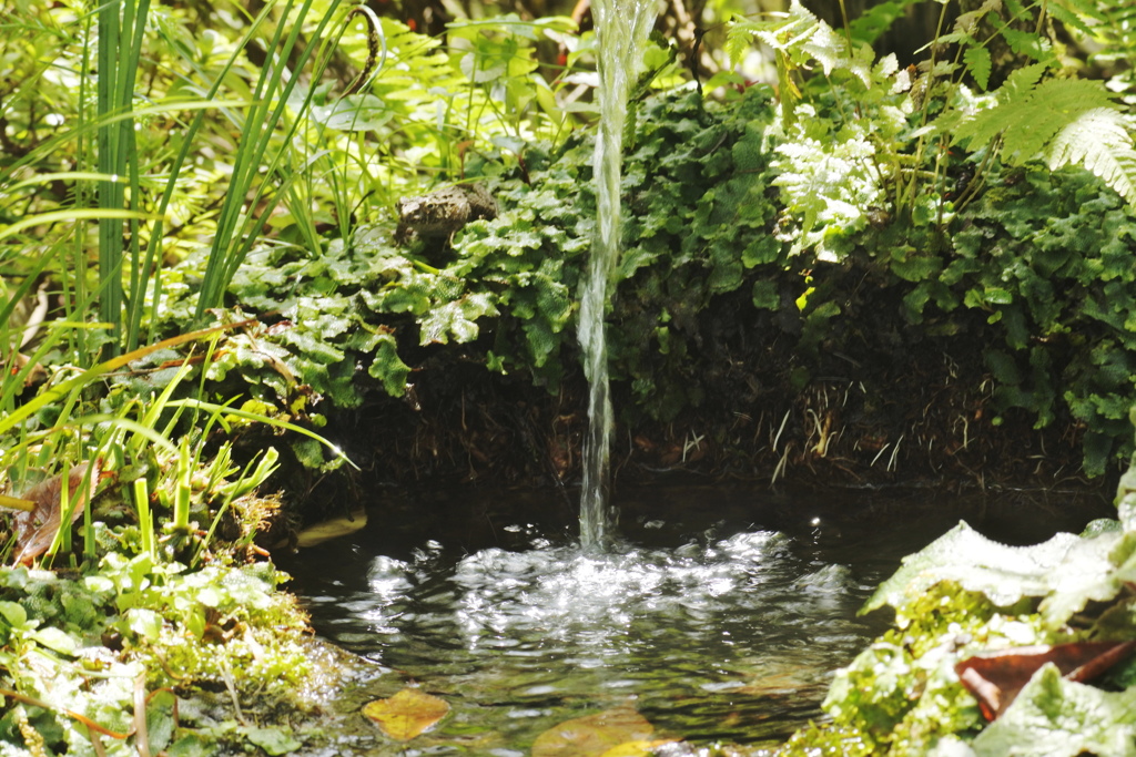 ここにも湧水