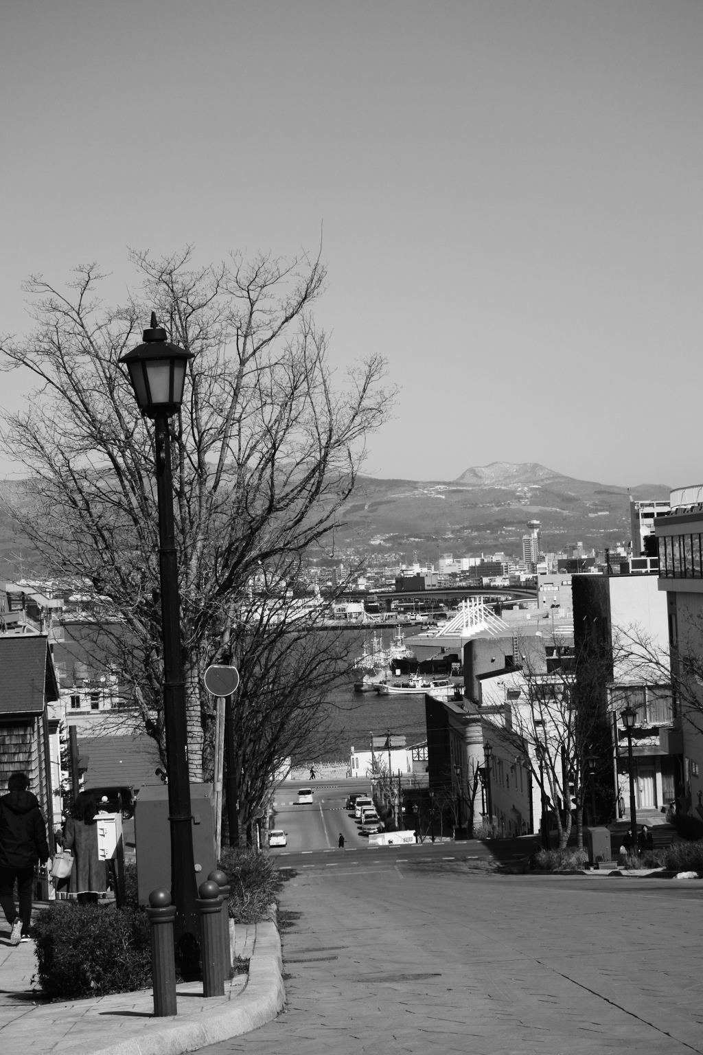 やっと登って見下ろすと