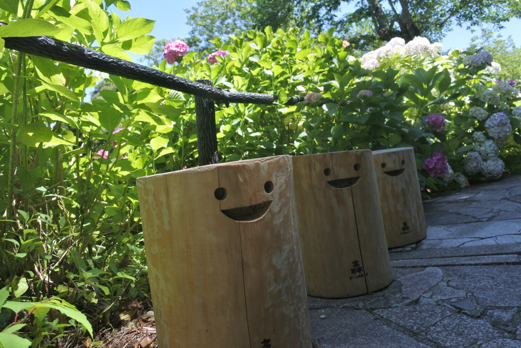 可愛い椅子たちがお出迎え