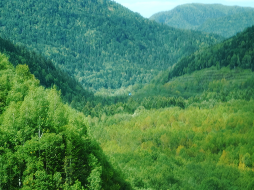 薄っすら色付く山々