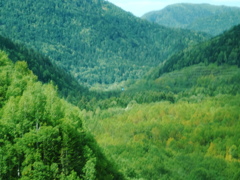 薄っすら色付く山々