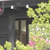 長屋門から花桃