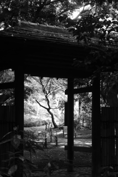 日本庭園の裏門