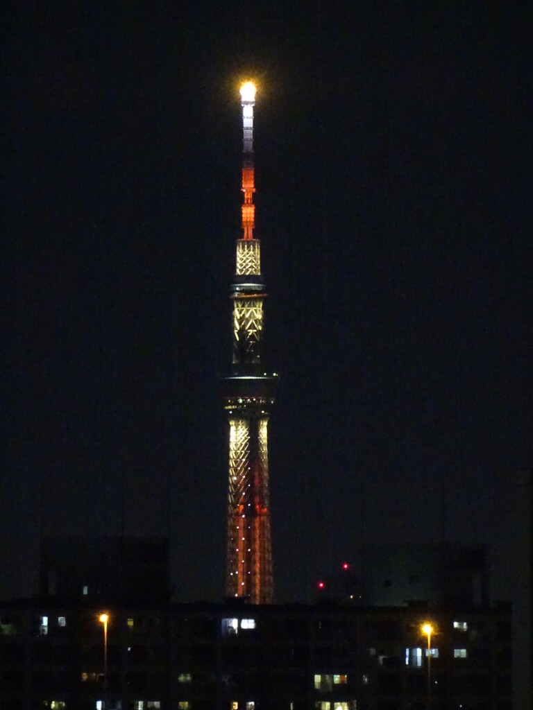 今日は赤い