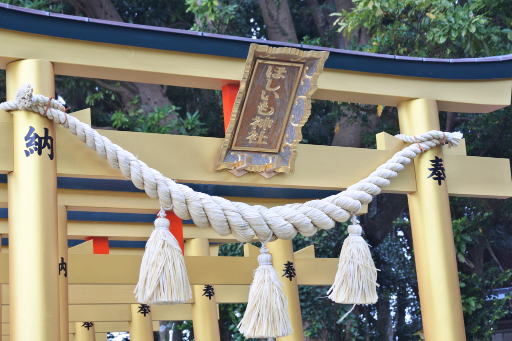 ほしいも神社