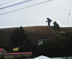 モンスターの木