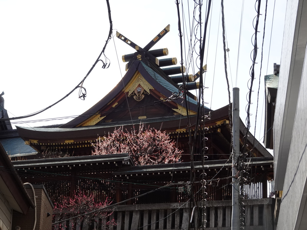 湯島天神～女坂から