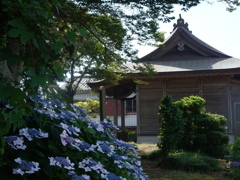 涸沼～大杉神社