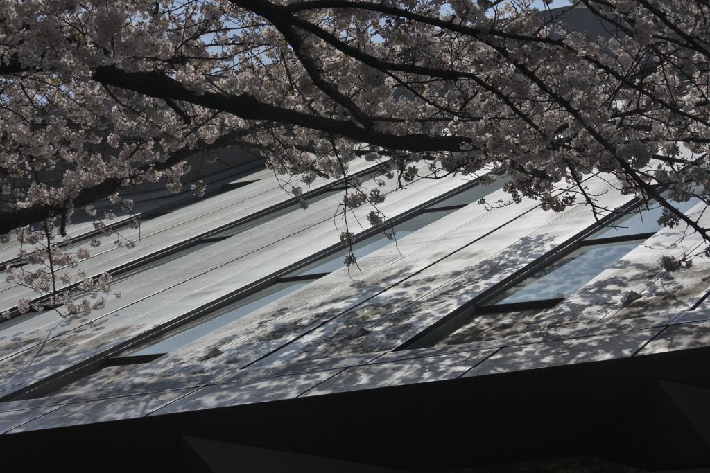 北区飛鳥山博物館の屋根