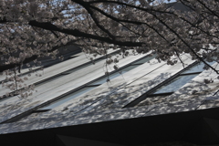 北区飛鳥山博物館の屋根