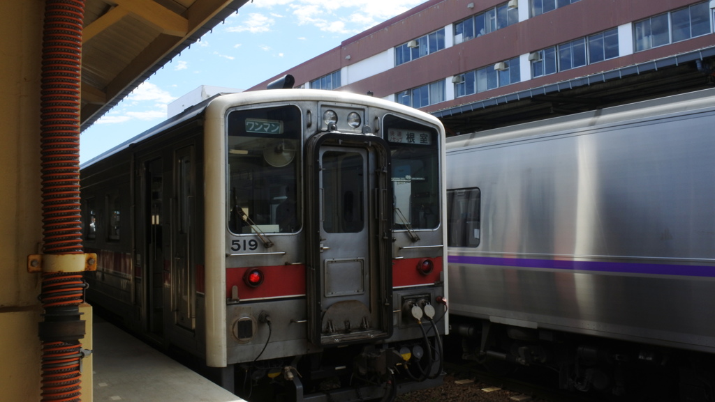 花咲線　根室行き