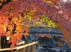地元の紅葉に感動