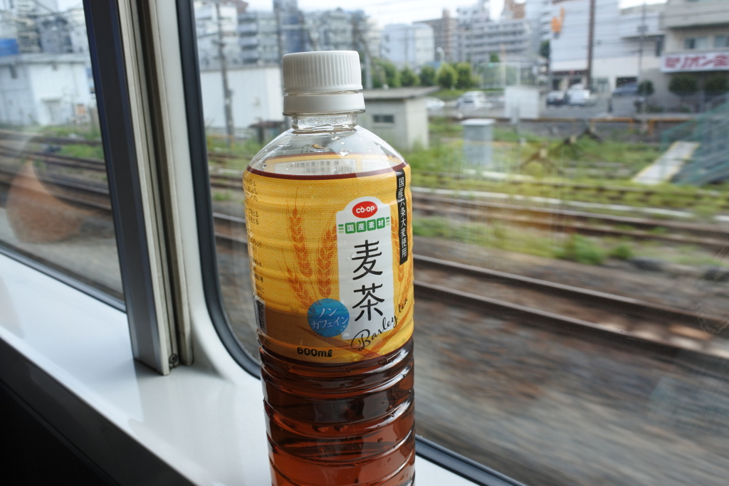 青春18きっぷデビュー