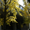 上野～奏でる