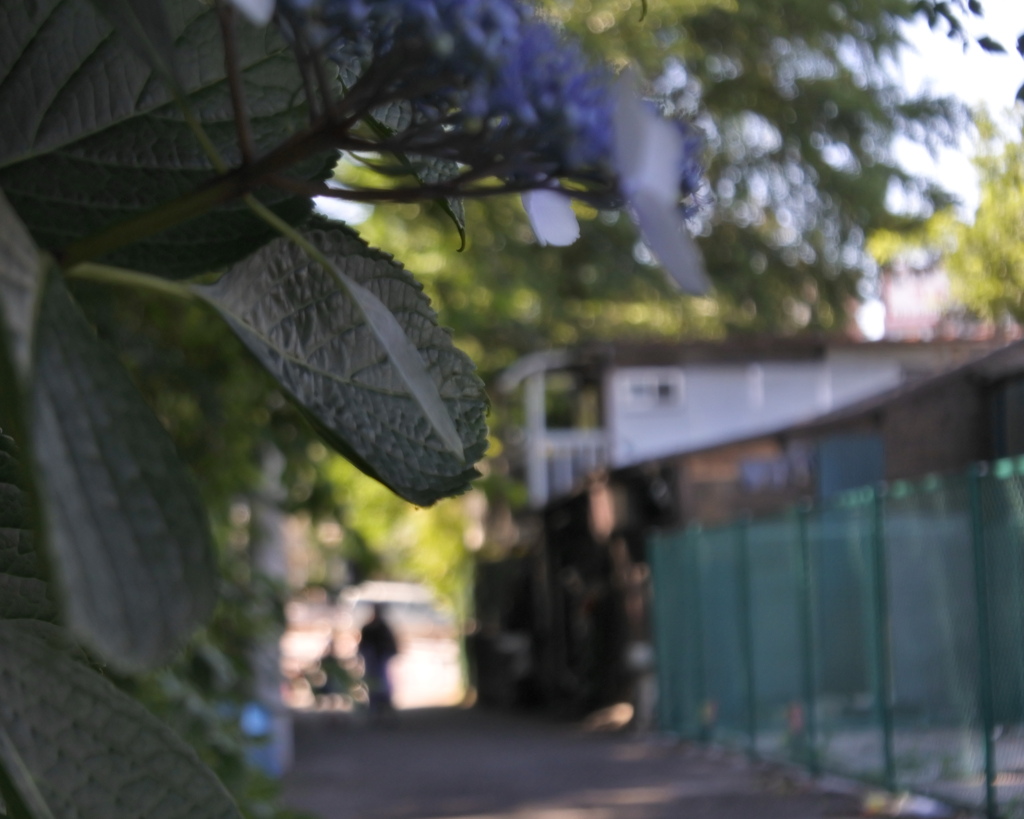 去って行ったまち子