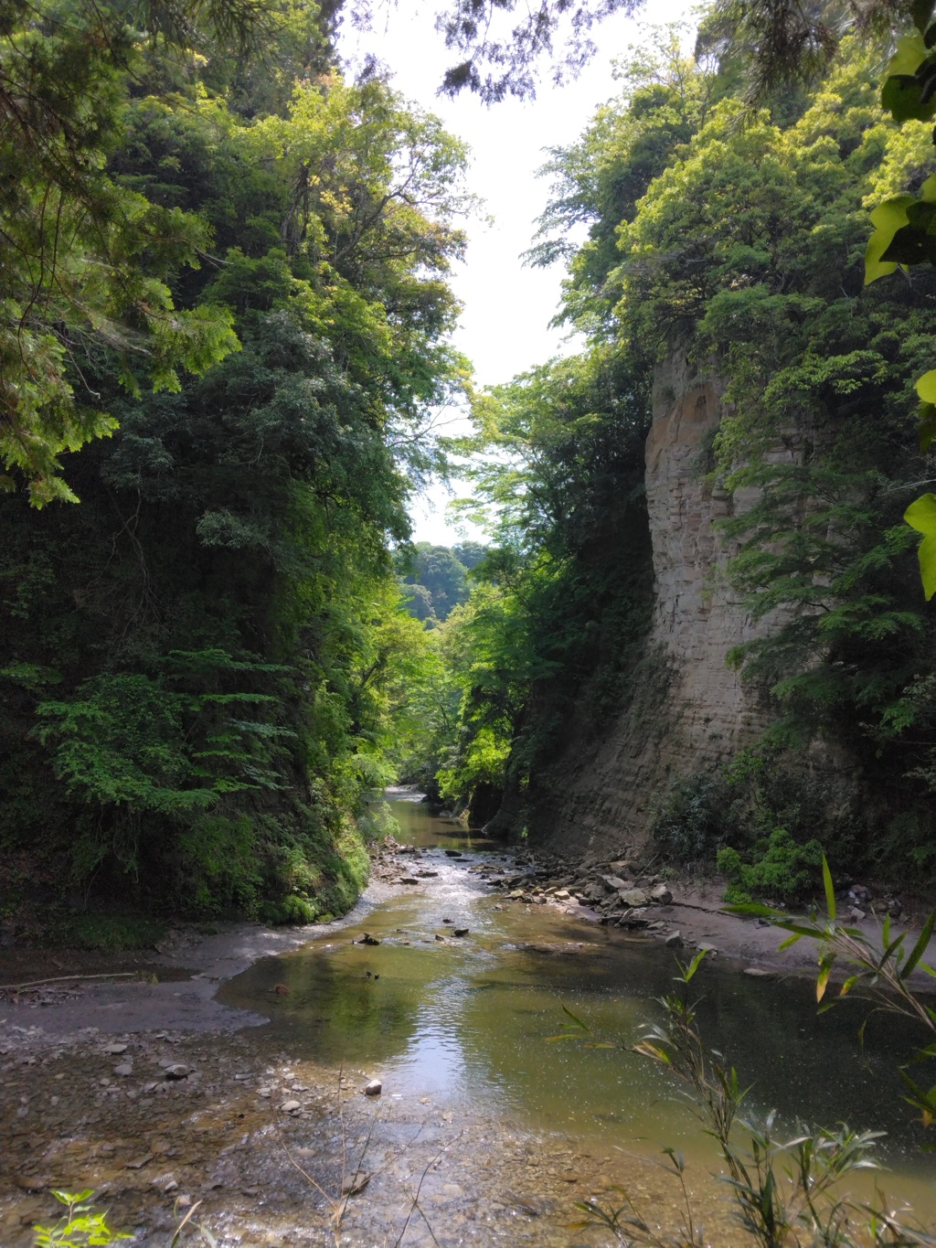 養老渓谷