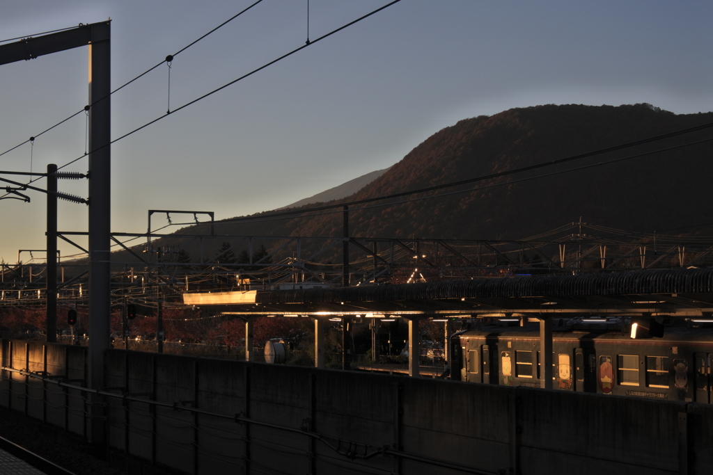 夕陽に染まる列車
