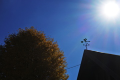 屋根の上の風見鶏