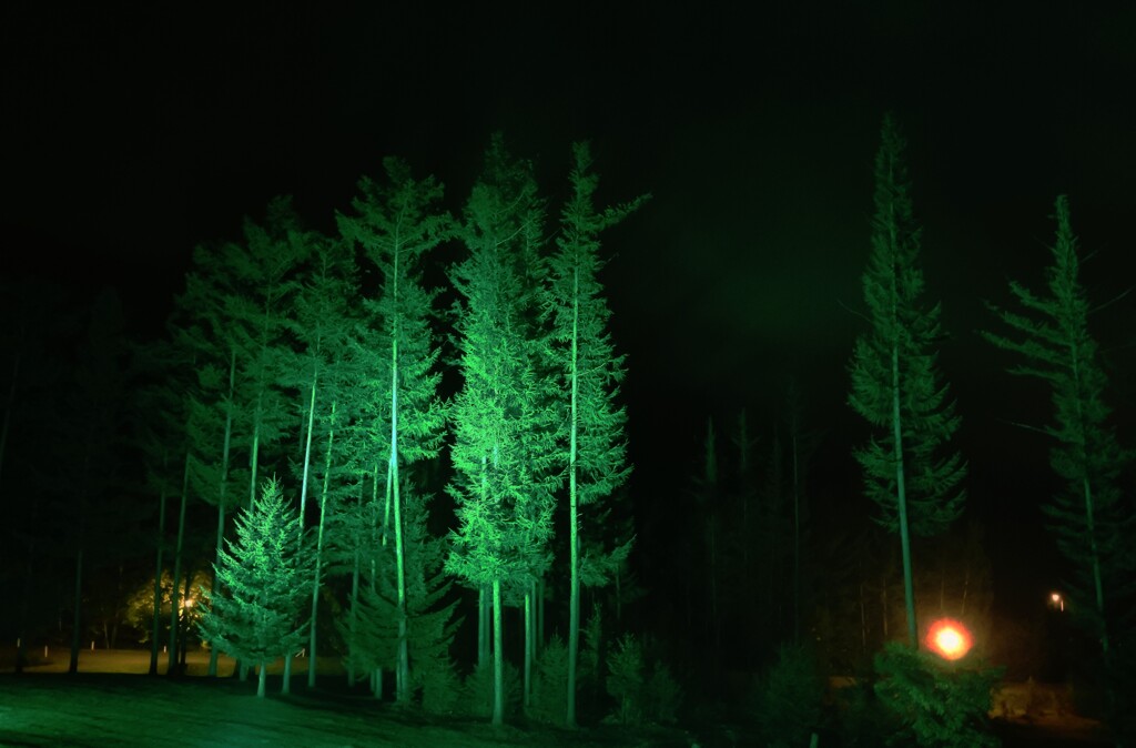 夜のホテルの庭