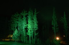 夜のホテルの庭