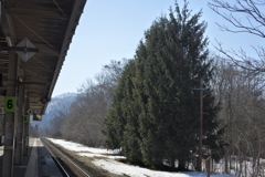 大沼公園駅ホーム