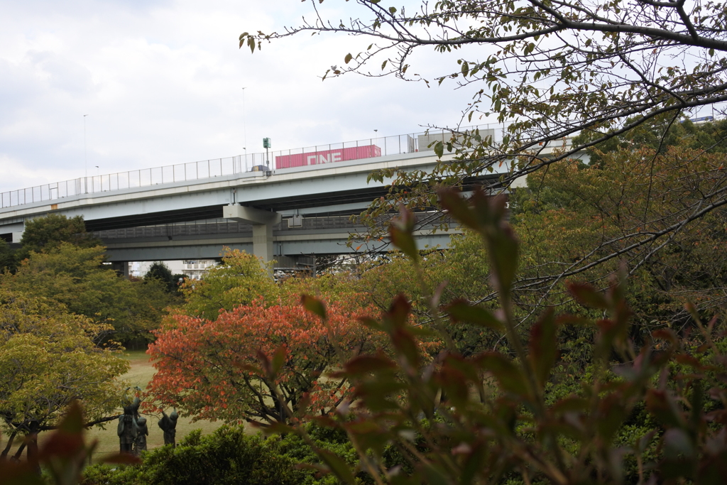 色づく季節の高速道路