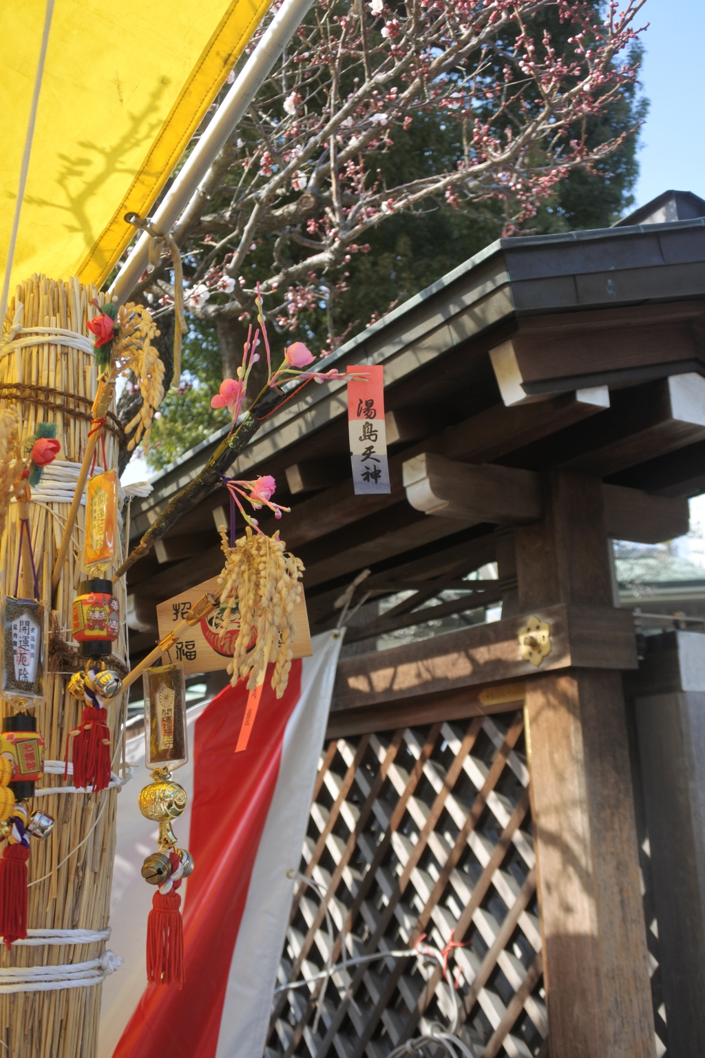 湯島天神　梅祭り