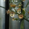 CSC_8927