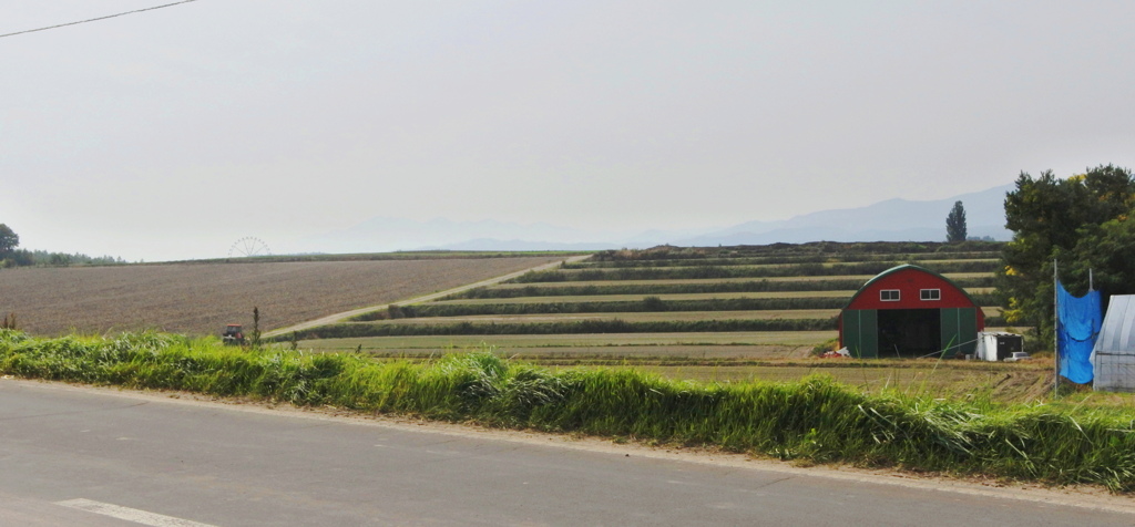 左奥に見えるのは