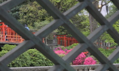 本殿から見る乙女稲荷神社鳥居