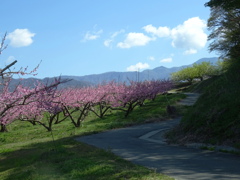 桃源郷をご一緒に