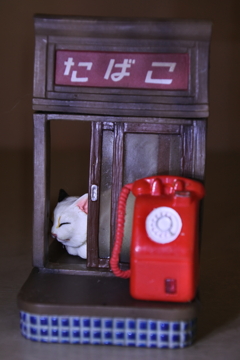 ガチャ～看板猫