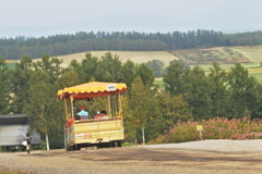 四季彩の丘～後ろ姿