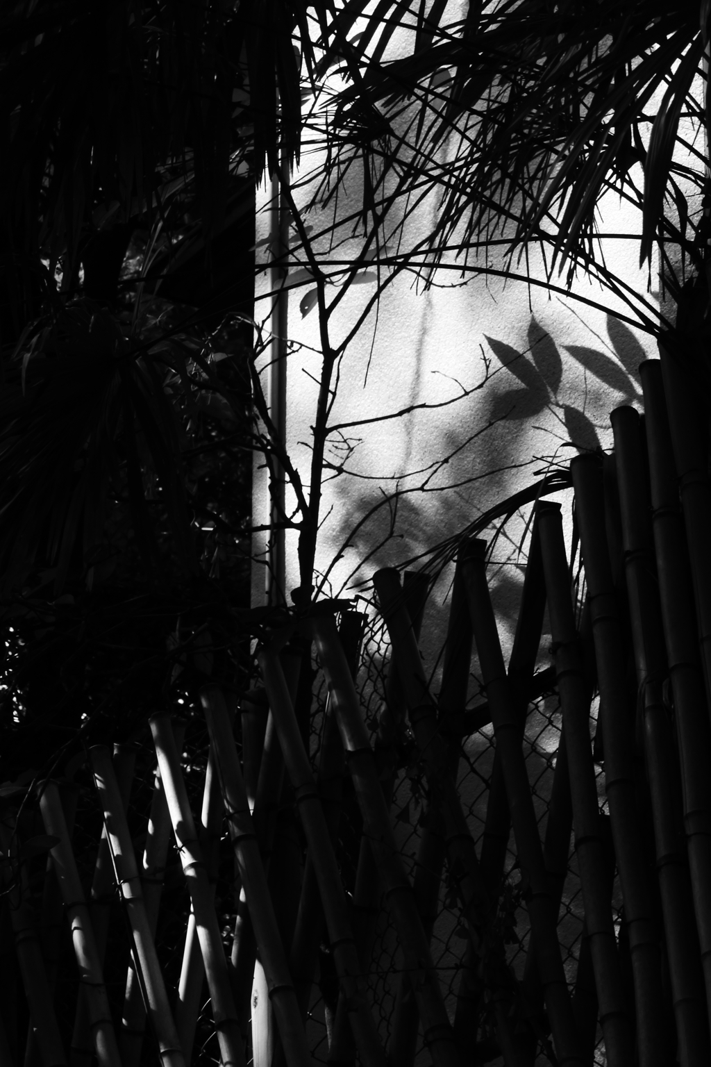 壁に当たる陽射し