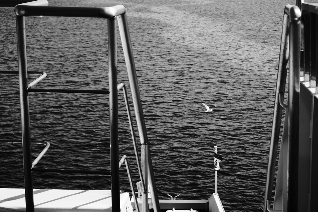 フェリー最上階から