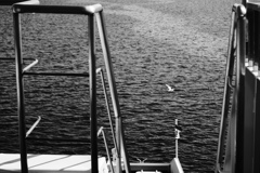 フェリー最上階から