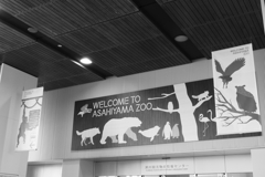 JR旭川駅構内の動物たち