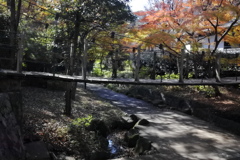 小さな吊り橋