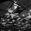 東京駅の天井Ⅱ