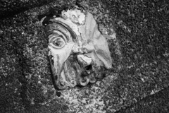 水飲み場の怪人